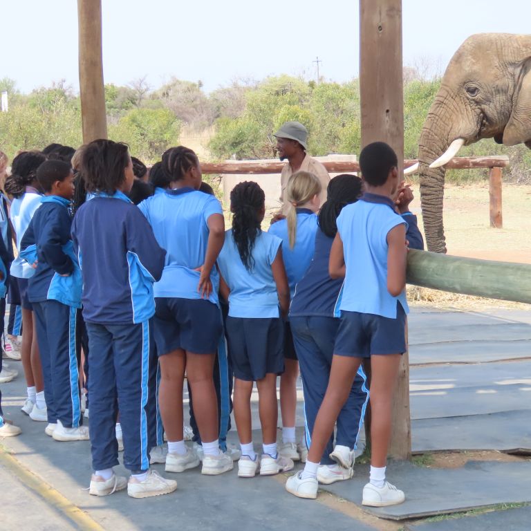 Tmp 01730084 b3ca 4bb4 ae8a 6b926714a695