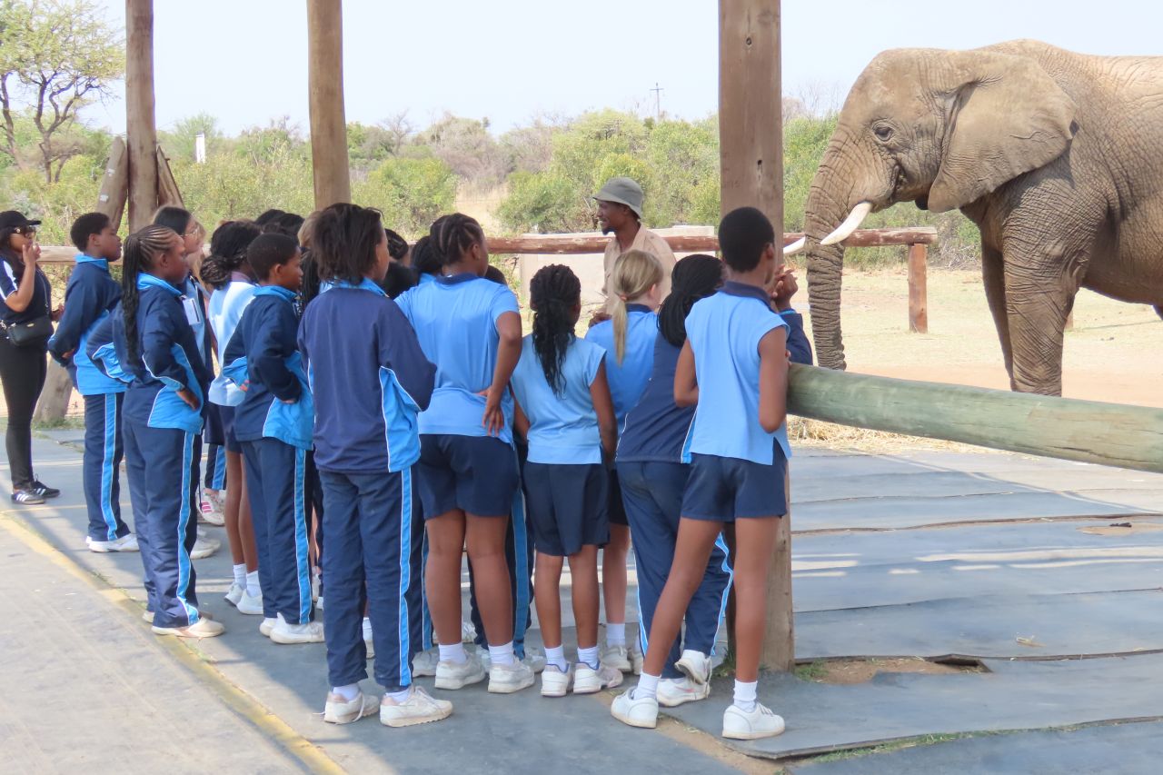 Tmp 01730084 b3ca 4bb4 ae8a 6b926714a695