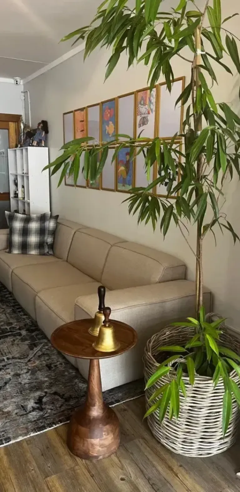 Jnr school revamp 2 44085a960aeecfce3e46bcb76e3e6d3e