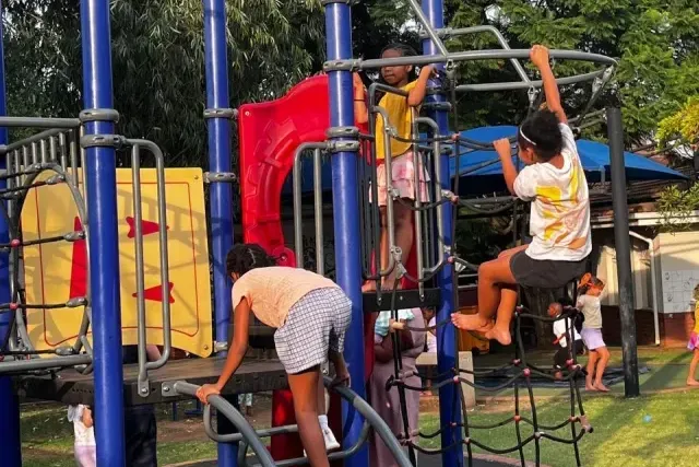 Junior School Picnics