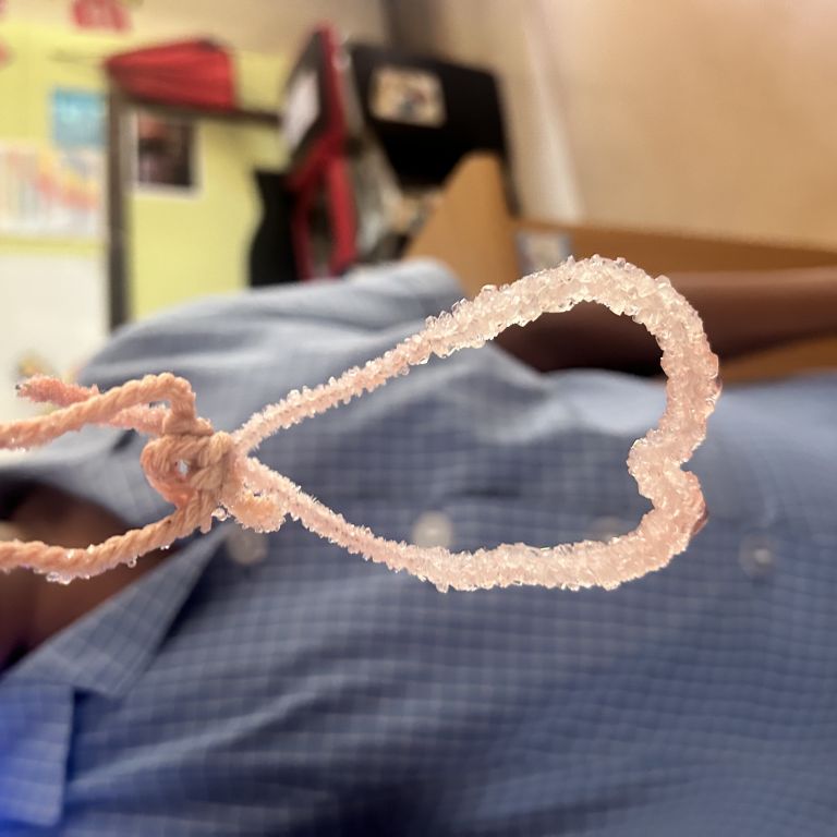 Image 20260212 103514 93da50d4