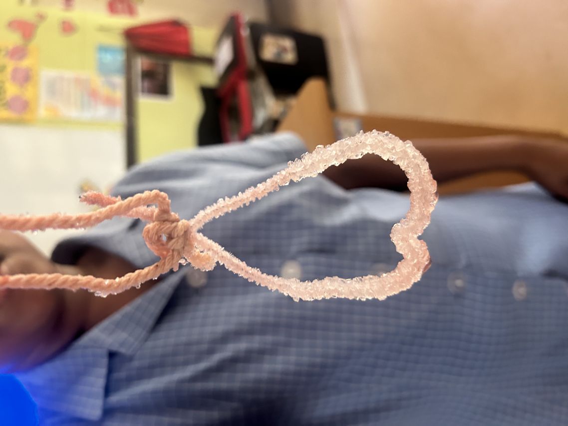 Image 20260212 103514 93da50d4