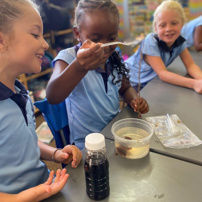 PHOTO 2026 02 11 16 34 43